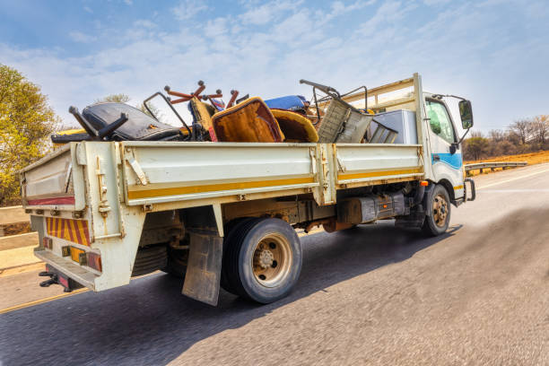 Yard Cleanup Services in Santo Domingo Pueblo, NM